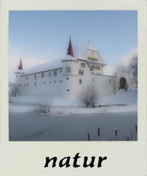 natur logo.jpg